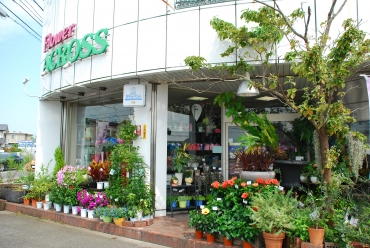「フラワーアクロス」　（佐賀県佐賀市）の花屋店舗写真1